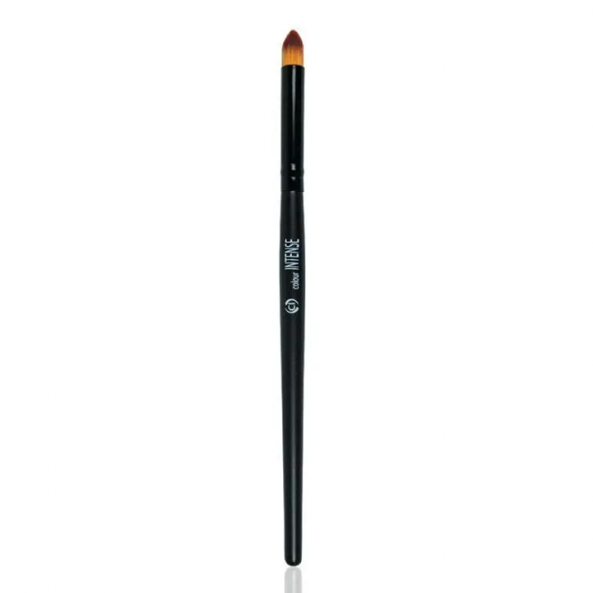 Щіточка для макіяжу очей та губ Colour Intense 012 купити в Україні