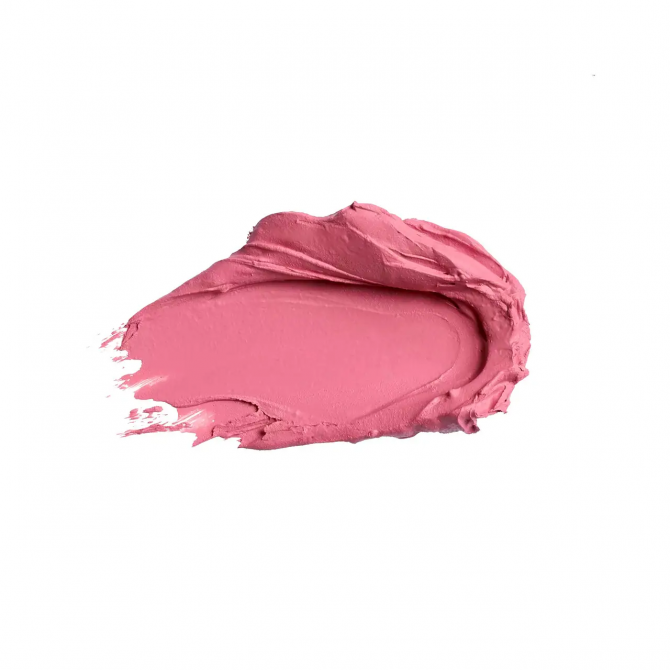 Матовая губная помада 18 Нюдово-ягодный Colour Intense Satin Lipstick Lasting Finish 3 г купить в Украине 2