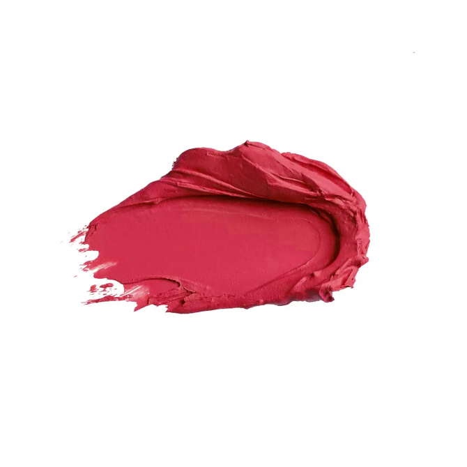 Матовая губная помада 16 Бордовый Colour Intense Satin Lipstick Lasting Finish 3 г купить в Украине 2