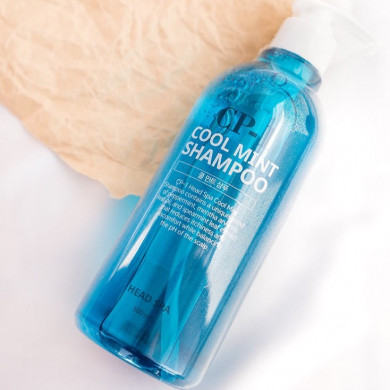Освежающий шампунь для волос с ментолом CP-1 Cool Mint Shampoo Head Spa 500 мл купить в Украине 3
