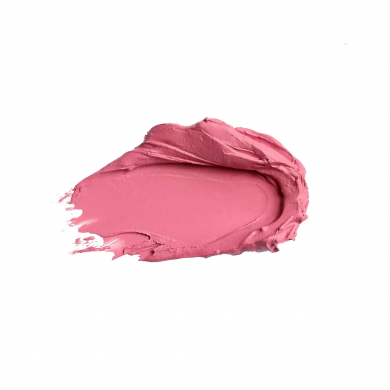 Матовая губная помада 18 Нюдово-ягодный Colour Intense Satin Lipstick Lasting Finish 3 г купить в Украине 2