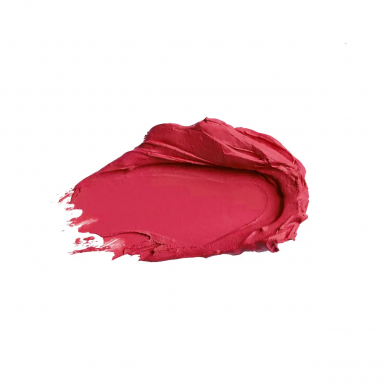Матовая губная помада 16 Бордовый Colour Intense Satin Lipstick Lasting Finish 3 г купить в Украине 2
