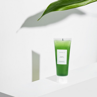 Успокаивающий гель для лица с полынью Graymelin Mugwort Calming Gel 100 мл купить в Украине 4