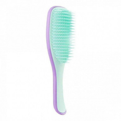 Расческа салатово-сиреневая Tangle Teezer The Wet Detangler Lilac Sorbet купить в Украине 2