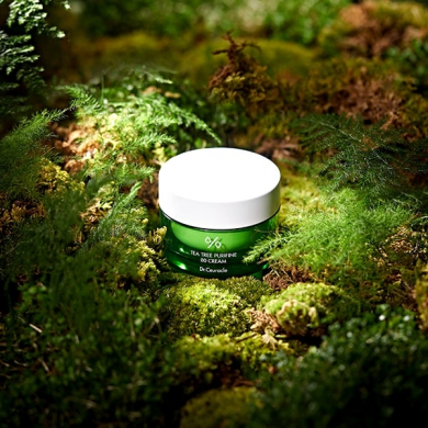 Зволожуючий крем для обличчя із екстрактом чайного дерева Dr. Ceuracle Tea Tree Purifine 80 Cream 50 мл купити в Україні 4